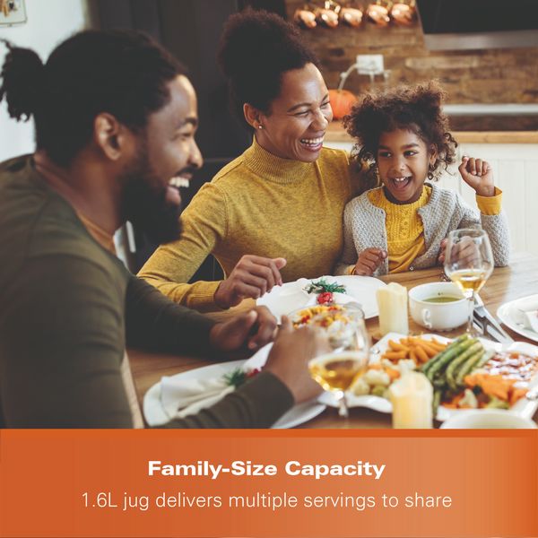 Hamilton Beach 3-in-1 Soup Maker, Smoothie Blender and Jam Maker - Grey