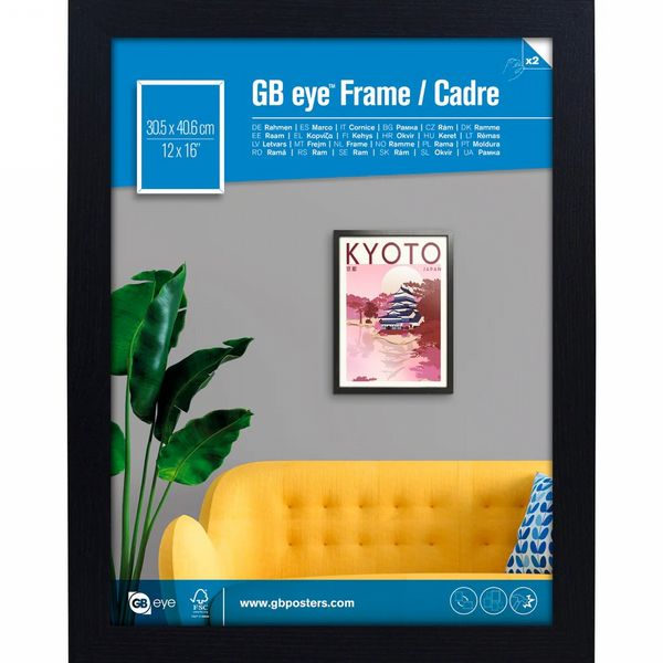GB Eye Contemporary Wooden Black Picture Frame - 30.5 x 40.6cm Lite