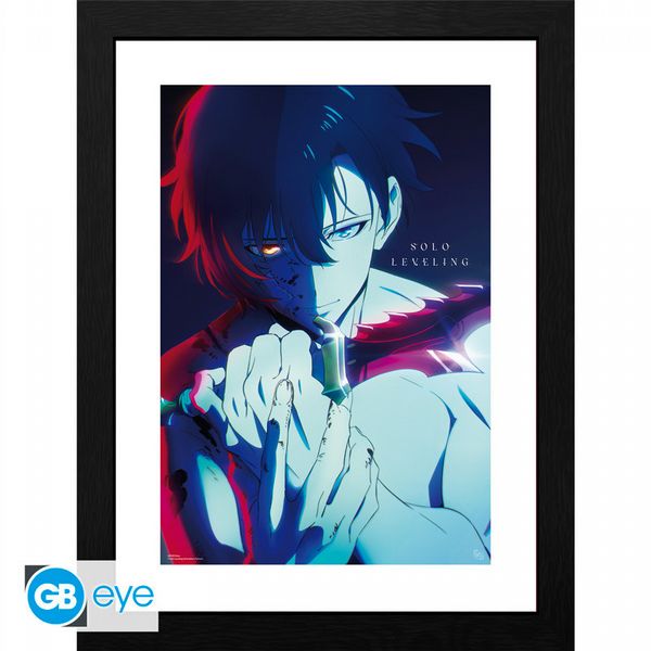 Solo Leveling Jinwoo 30 x 40cm Framed Collector Print	